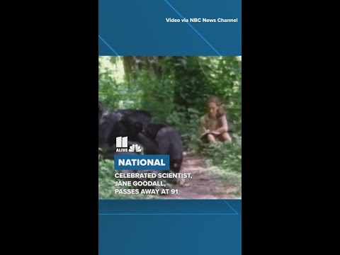 Celebrated scientist, Jane Goodall, passes away at 91