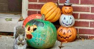 Weekly Mortgage Rates Drop on Squirrelly Jobs Data
