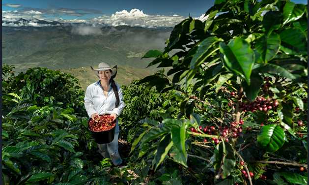 Mujeres rurales: sembrando igualdad, cosechando futuro