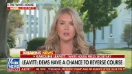 Leavitt Goes Scorched Earth on Dems Over Shutdown: They ‘Lack the Courage’