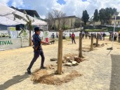 Wokha: Banana Festival concludes, advances local agri