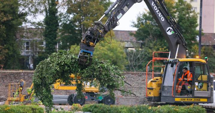 'Tree Brides' anguish as work finally begins on Harbourside flats