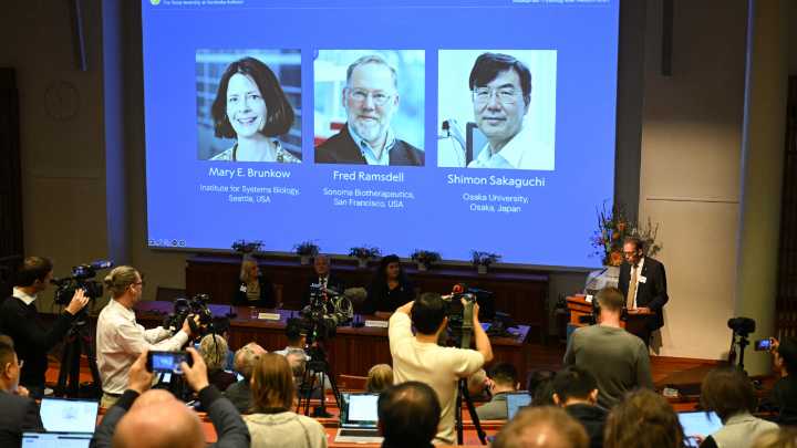 Los científicos Mary Brunkow, Fred Ramsdell y Shimon Sakaguchi ganan el Nobel de Medicina 2025