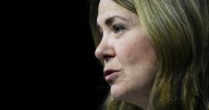 Alberta government set to receive report into health contract scandal
