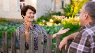 What To Do If A Neighbor Grows An Invasive Plant Near Your Property
