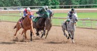 La historia de las carreras de caballos: del hipódromo clásico a la era moderna