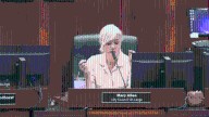 Evansville city budget approved by city council