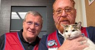 Francine the Lowe's cat has been found