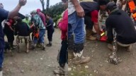 Dos muertos y tres personas desaparecidas por avenida torrencial en Dadeiba, Antioquia