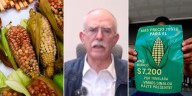 Julio Berdegué anuncia incremento en el costo del maíz blanco tras protestas de agricultores
