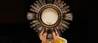 “Todos unidos y perseverantes, no nos cansamos de interceder por la paz”: Papa León XIV