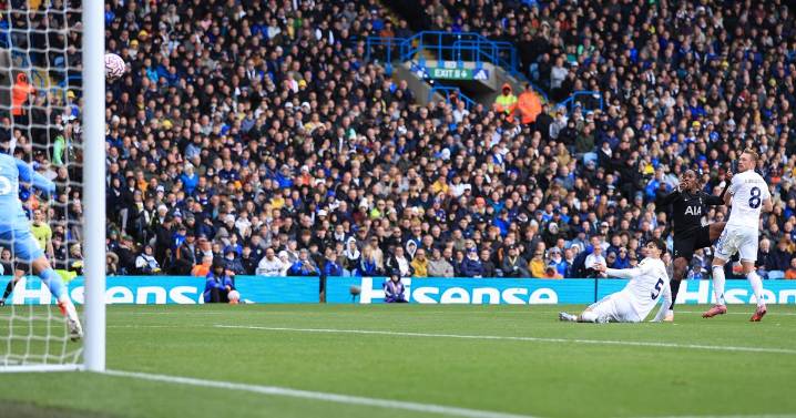 Leeds United players set out Elland Road marker as Premier League on notice despite Spurs loss