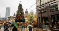 People divided after Christmas tree erected two months early