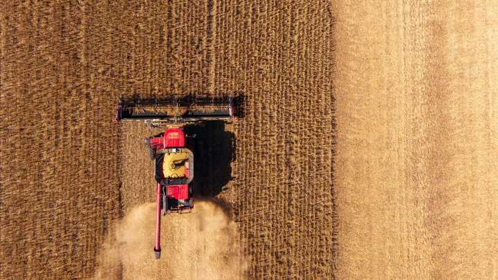 Iowa farmers face losses, given high costs, China's soybean boycott