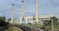 'For the birds': doubt ageing coal plants can go longer