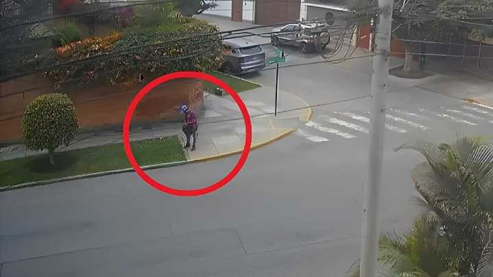Tragedia en San Isidro: ocho perritos mueren envenenados y vecinos exigen justicia