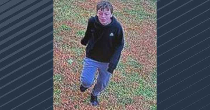 Janesville police seek help finding missing 12-year