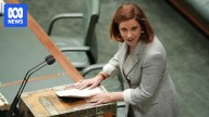 Optus email mishap left department in dark about triple-0 outage, even after Anika Wells told