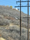 Park City firefighters extinguish small blaze off Deer Valley Drive
