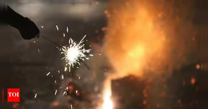 Avoid using green crackers, pollution levels are rising: Health expert