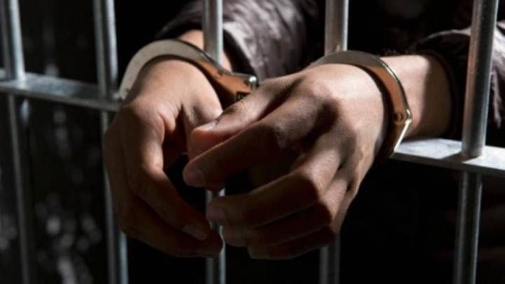 Customs At Mumbai Airport Arrest Indian Passenger Travelling To Bangkok With 61 Rare Wild Animals Hidden Inside Luggage