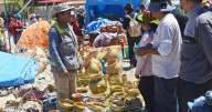 Se viene la Manka Fiesta en La Quiaca