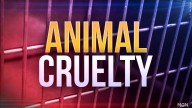 Police investigating animal cruelty incident caught on video