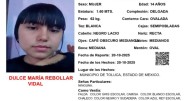 Activan Alerta Amber urgente en el Edomex: Emiten ficha de búsqueda tras la desaparición de dos menores