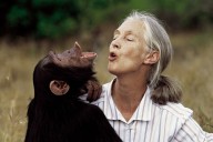Jane Goodall lived her childhood dream