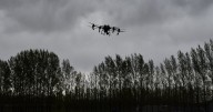 Todo lo que querés saber sobre los drones para la fruticultura: precios, modelos y cuál es su potencial de uso