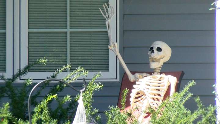Phillip's Lincoln Lights helping spotlight spooky Halloween displays