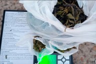 Efectivos sorprendieron a un sujeto que llevaba 65 gramos de marihuana en Paraná