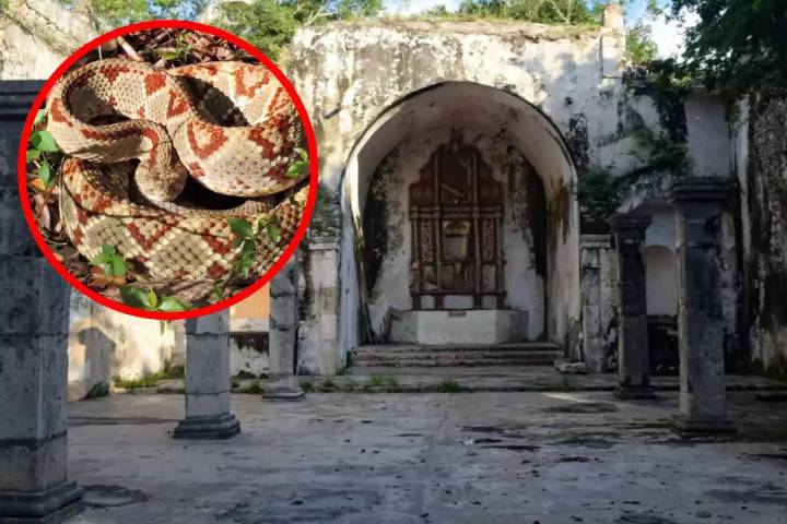 Mopila: el pueblo fantasma de Yucatán donde abundan las serpientes