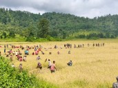 JHADC opposition MDCs demand special session on Lapangap violence