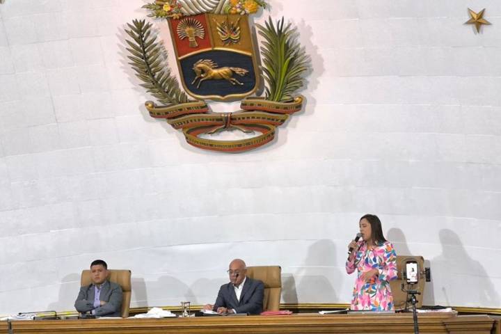 Diputada América Pérez dice que Consejo por la Soberanía y Paz no es un acto partidista