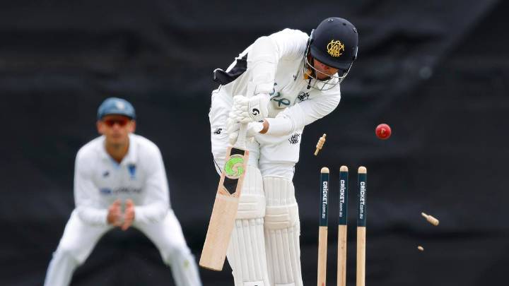 Cricket 
                                              Comments
                                            
                                              Premium
                                 