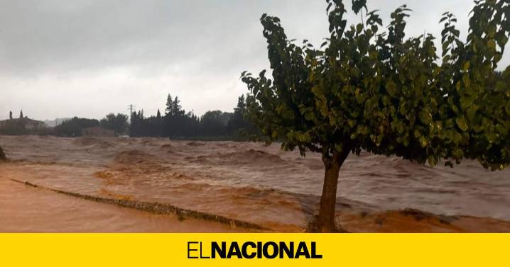 Las imágenes más espectaculares del temporal en el sur de Catalunya