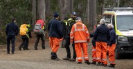 Man, 76, missing from walk near Tasmanian adventure hub Hollybank