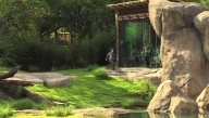 San Diego Zoo Opens Cage-Stage Calvinist Exhibit To Public