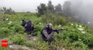Infiltration bid foiled along LoC, 2 killed