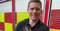 Firefighter found guilty of raping woman during St Patrick's Day celebrations