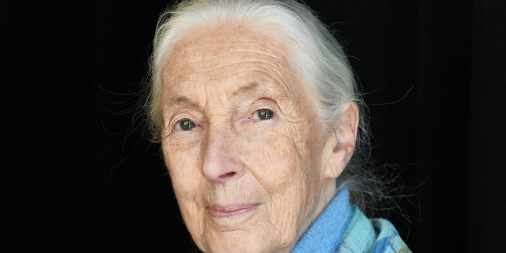 Jane Goodall’s Cause of Death Confirmed | Jane Goodall 
