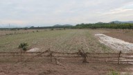Por temas económicos, productores en Rosario optan por reducir superficie de siembra