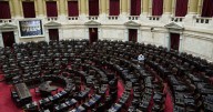 Elecciones 2025 | Uno a uno, la lista completa de los diputados que asumirán el 10 de diciembre en el Congreso