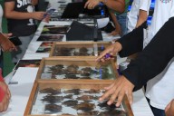 Realiza Ucú su Primer Festival del Murciélago: no hay que temerles
