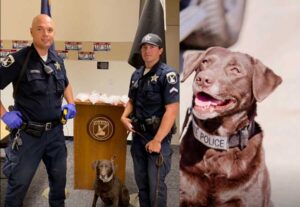 ISP K-9 retires after eight years of service and record drug numbers