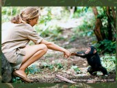 Jane Goodall, la científica entre abrazos de chimpancés