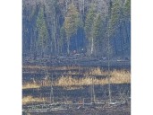 Firefighters praised as North Frontenac wildfire brought under control