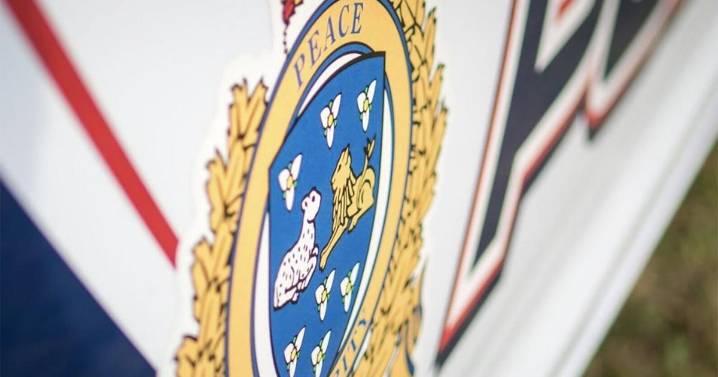 Kitchener jewelry swap scam suspects sought by police