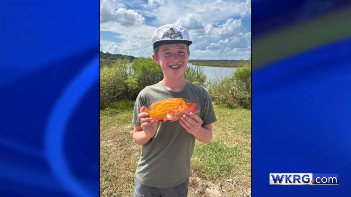 Four Mississippi fishing records set in October